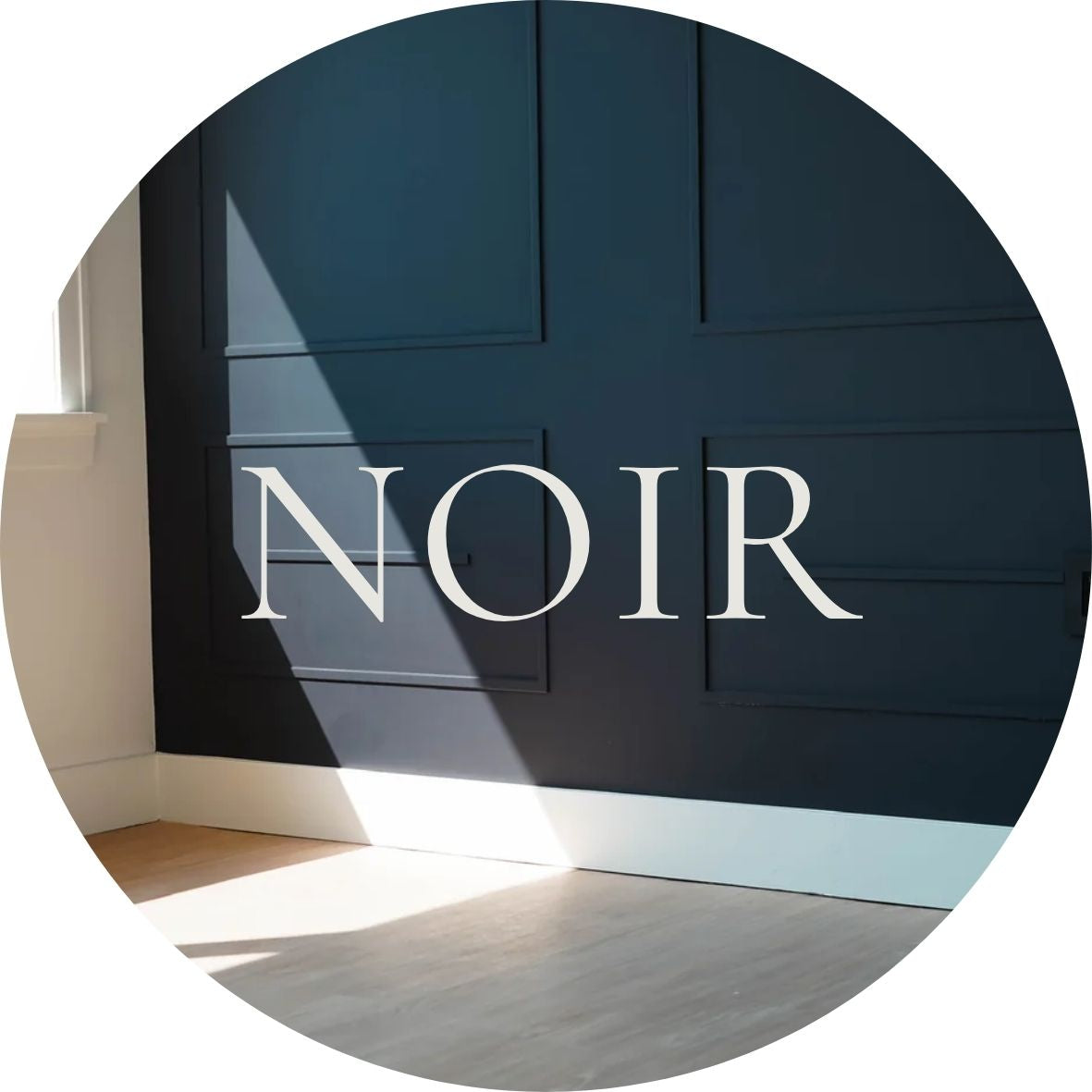 3: The Natural Light Studio - Noir